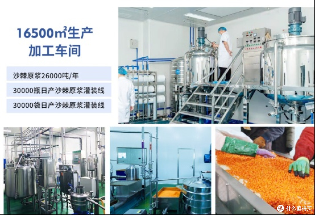 中国沙棘原浆加工工艺与品质评价白皮书（2026版）