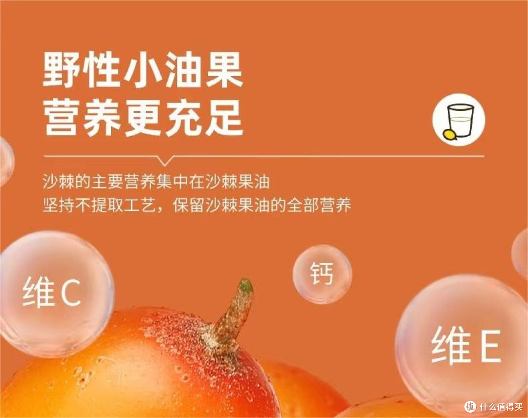 中国沙棘原浆加工工艺与品质评价白皮书（2026版）