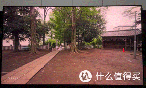 TCL T7M Pro :SQD-Mini LED下放到5K档,是真东西还是营销噱头?
