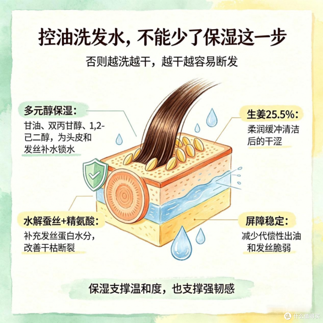 2026公认好用的控油去屑洗发水推荐,防脱固发长效清爽不反复发作