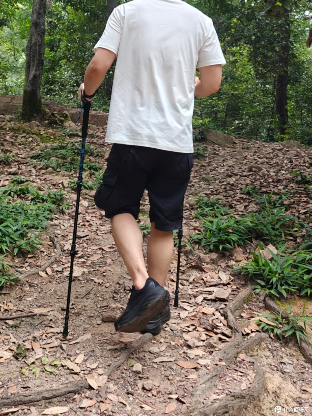 还得是登山杖，我觉得自己又行了！