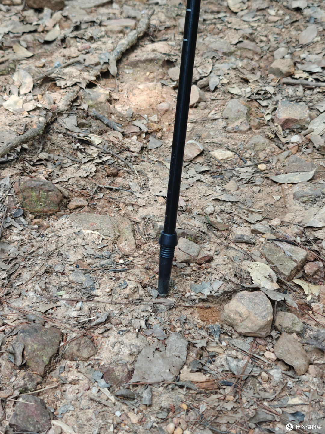 还得是登山杖，我觉得自己又行了！
