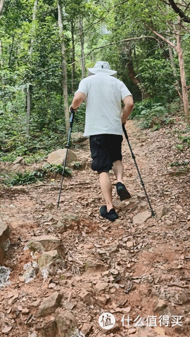 还得是登山杖，我觉得自己又行了！