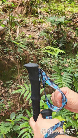 还得是登山杖，我觉得自己又行了！
