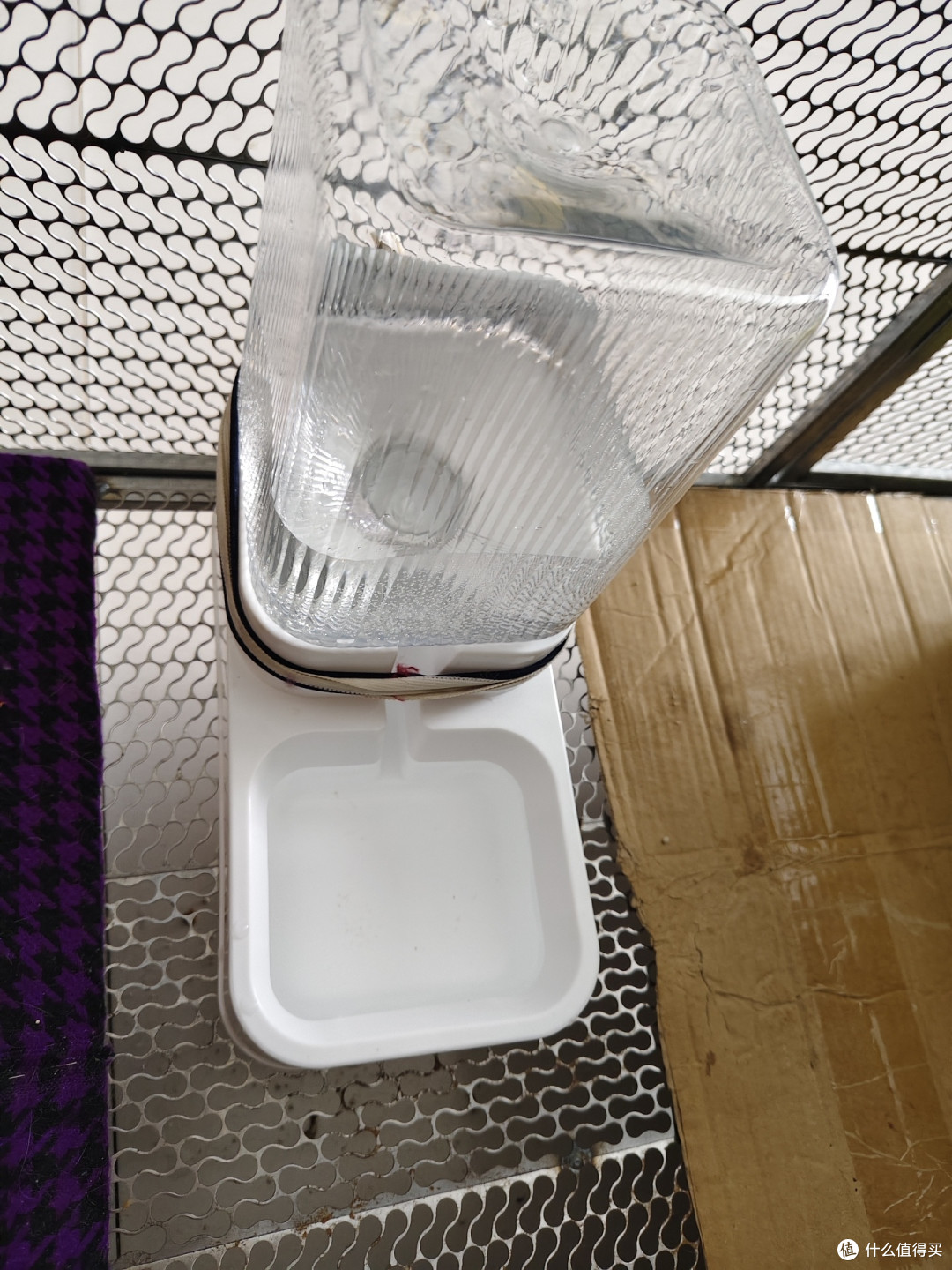 宠物饮水机与喂食器使用体验