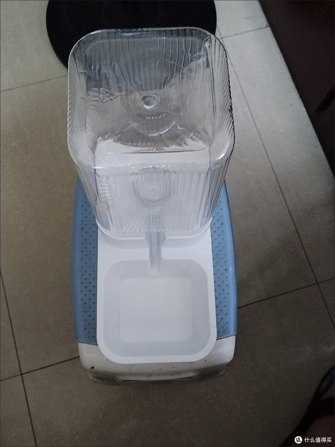 宠物饮水机与喂食器使用体验