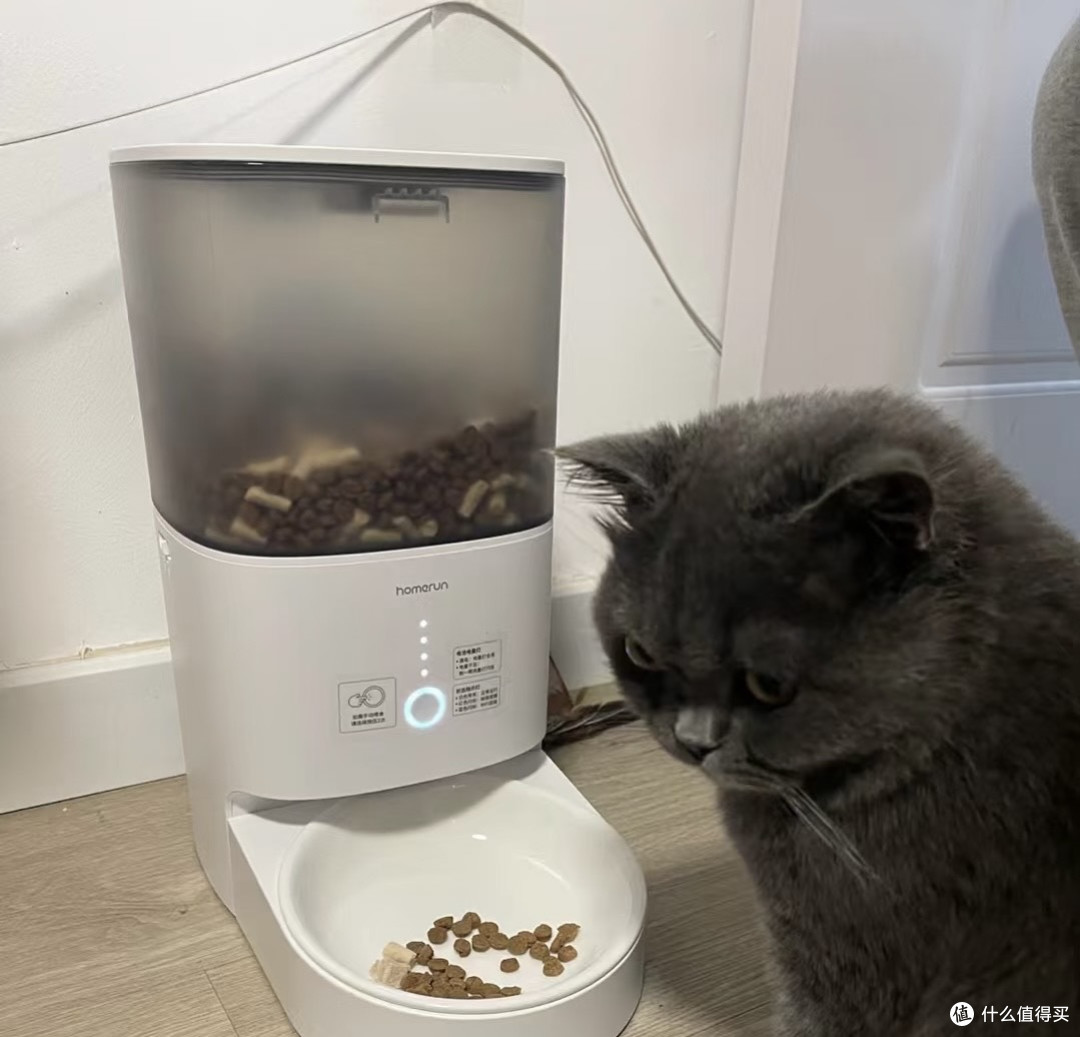 霍曼自动喂食器反馈来啦