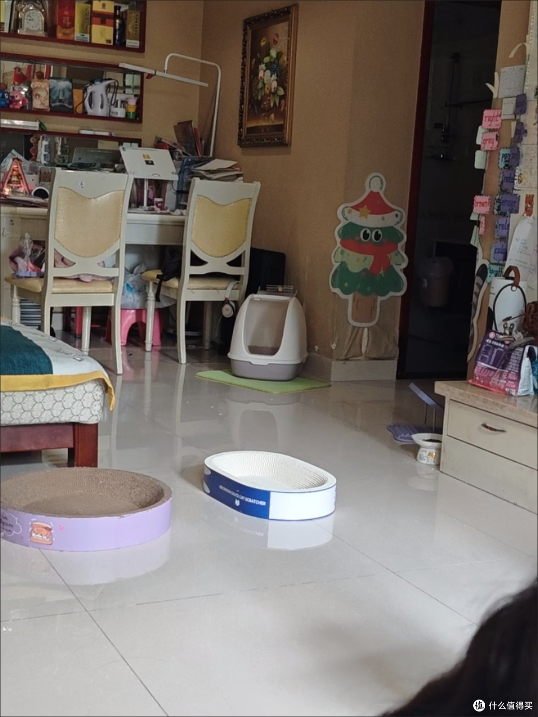 必备养猫物品提升生活质量