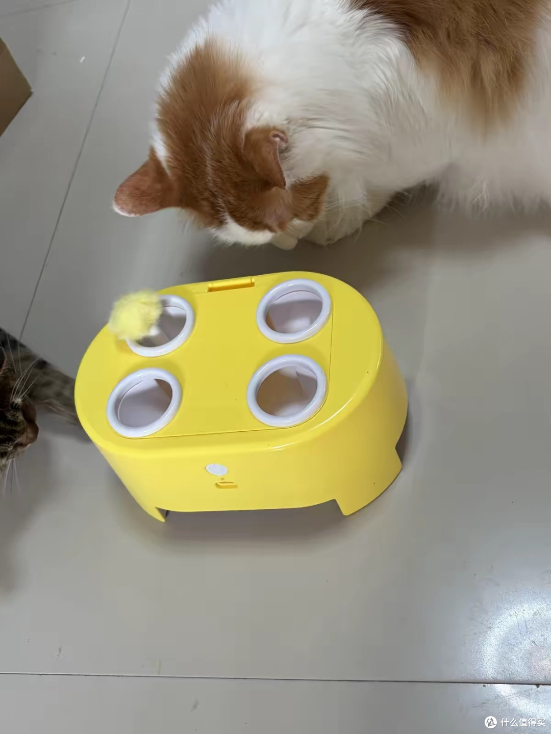 猫咪电动打地鼠玩具多功能设计