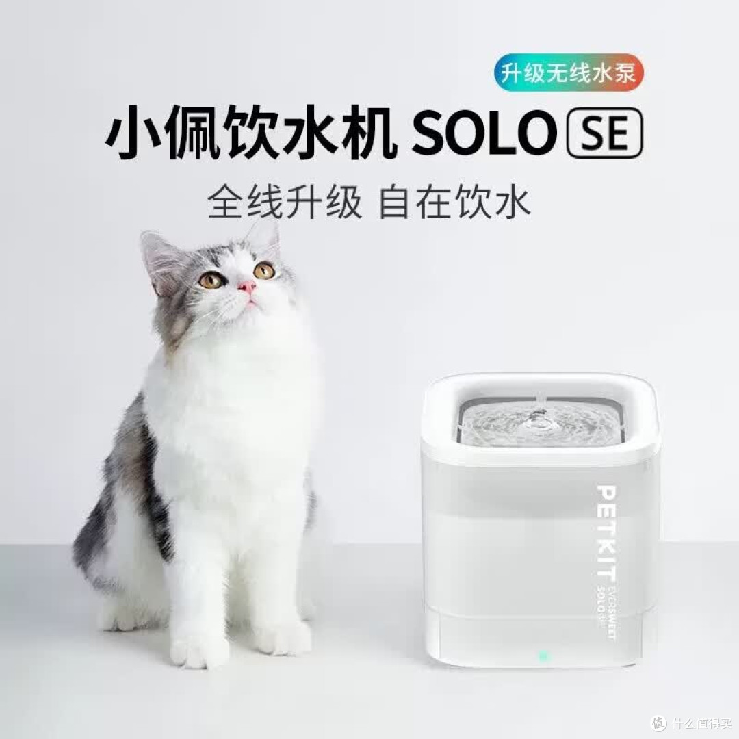 小佩SOLO SE智能饮水机解决猫咪饮水难题