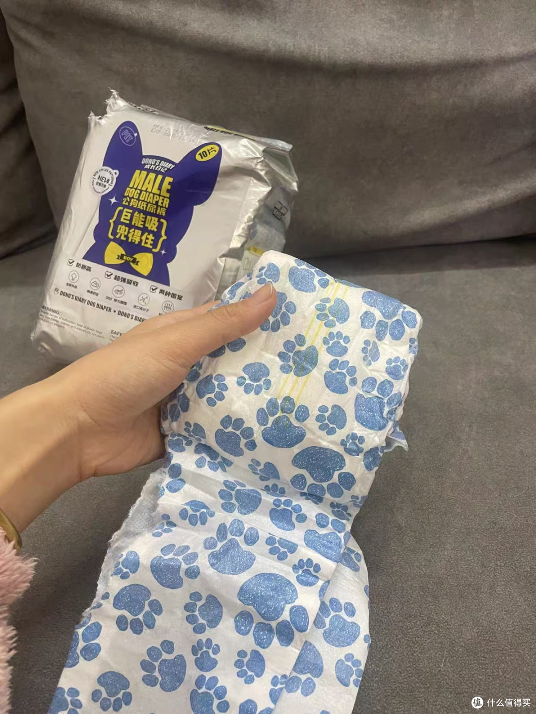 养公约克夏的痛点！定点乱尿真的管不住😤