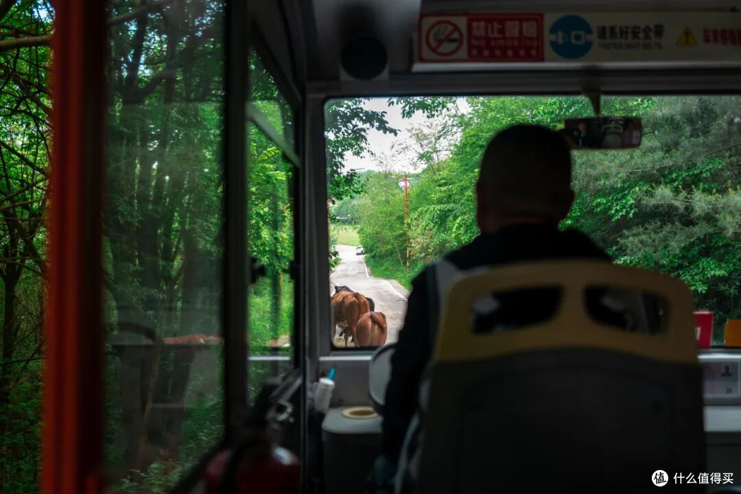 白天不用开空调,晚上还得盖被子,这个夏季均温19.7°C的城市!