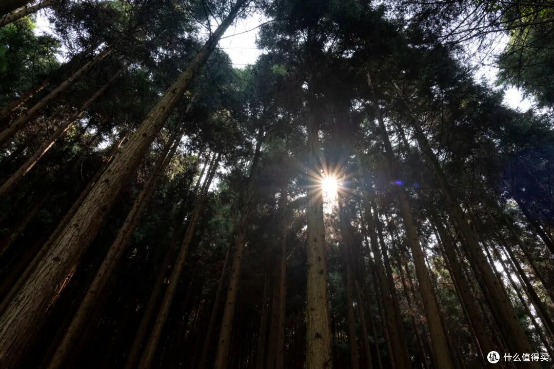 白天不用开空调,晚上还得盖被子,这个夏季均温19.7°C的城市!