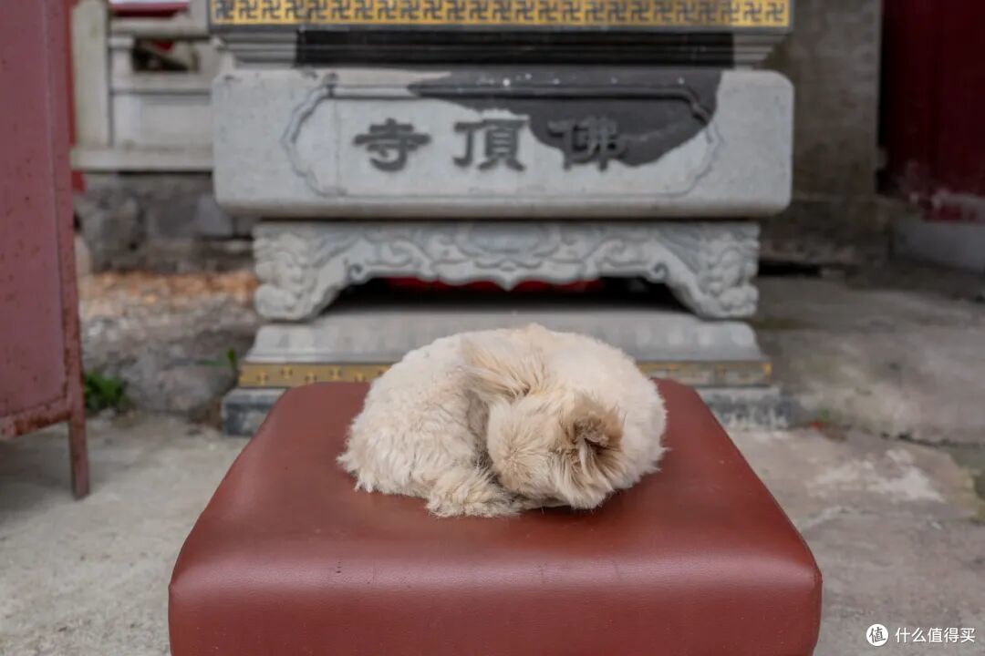 白天不用开空调,晚上还得盖被子,这个夏季均温19.7°C的城市!