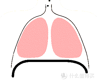 “睡觉把手举过头顶”,为什么能一觉到天亮?
