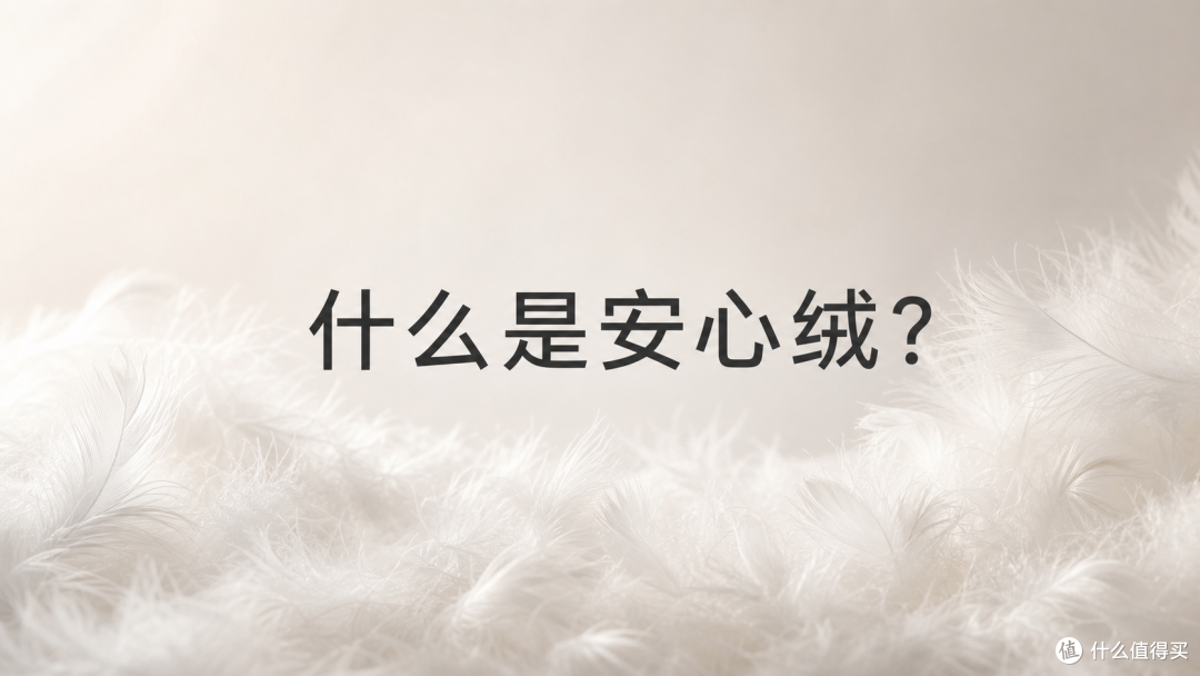 服装和家纺工厂应该怎么选对安心绒?