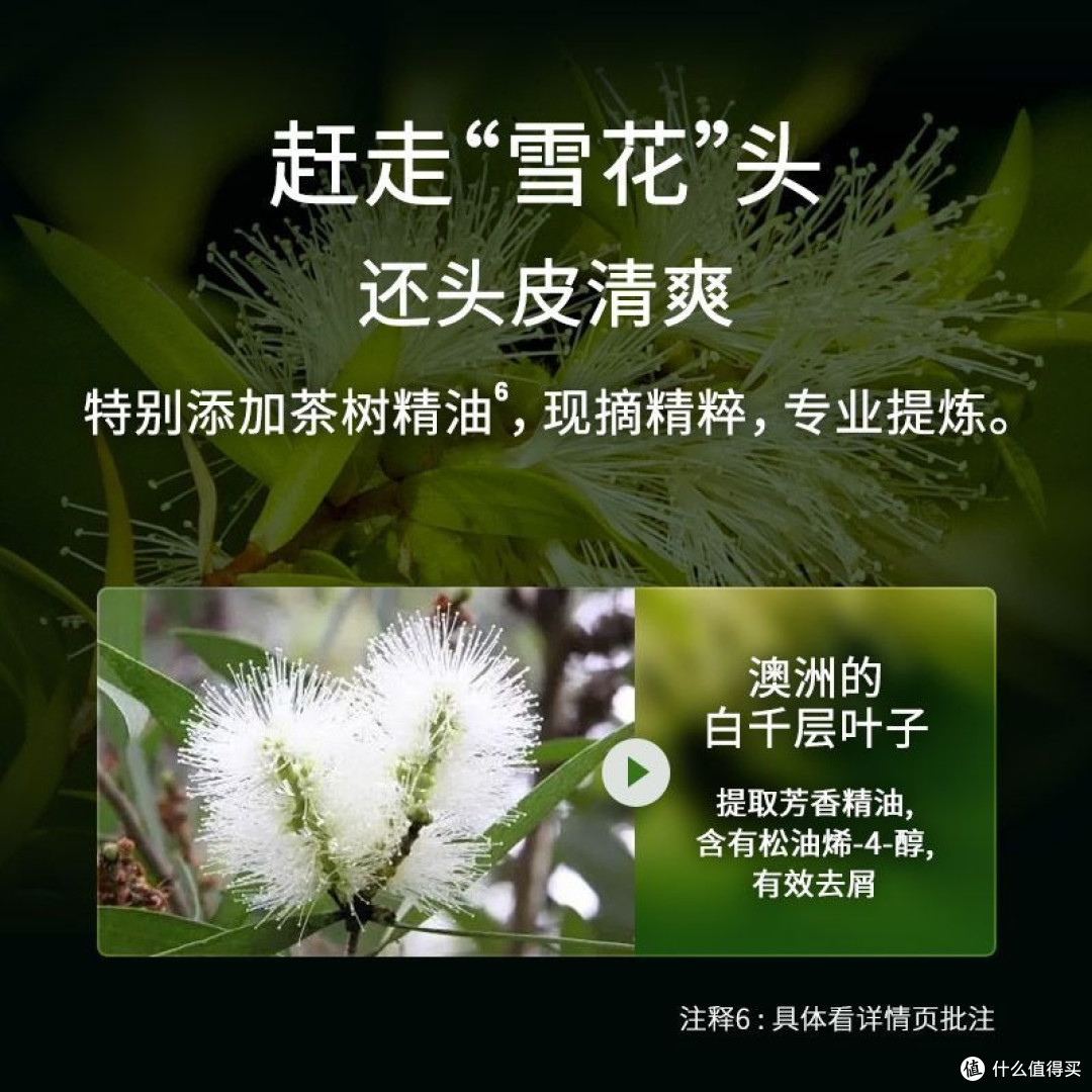 油头塌发星人请锁死!这瓶国货洗发水,是我夏天的“头皮空调”