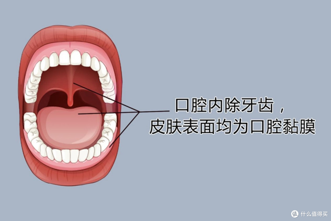 只刷牙很难长久清爽?口腔黏膜清洁才是容易忽略的护理关键点