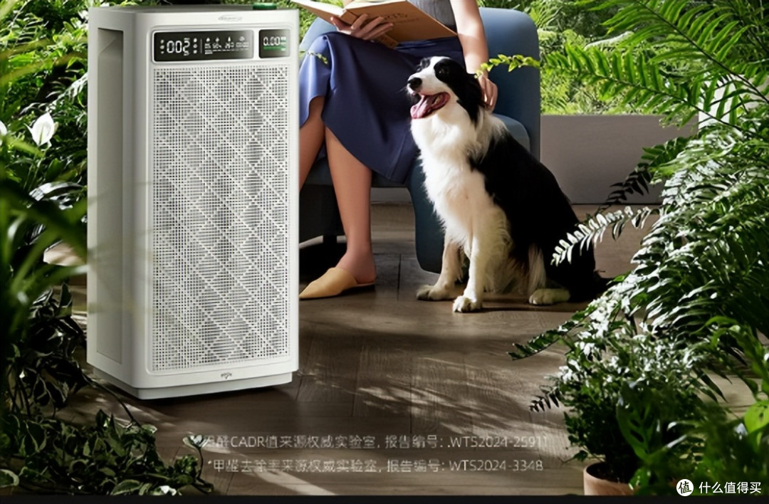 家用空气净化器什么品牌好?7大全网断货王深度剖析!