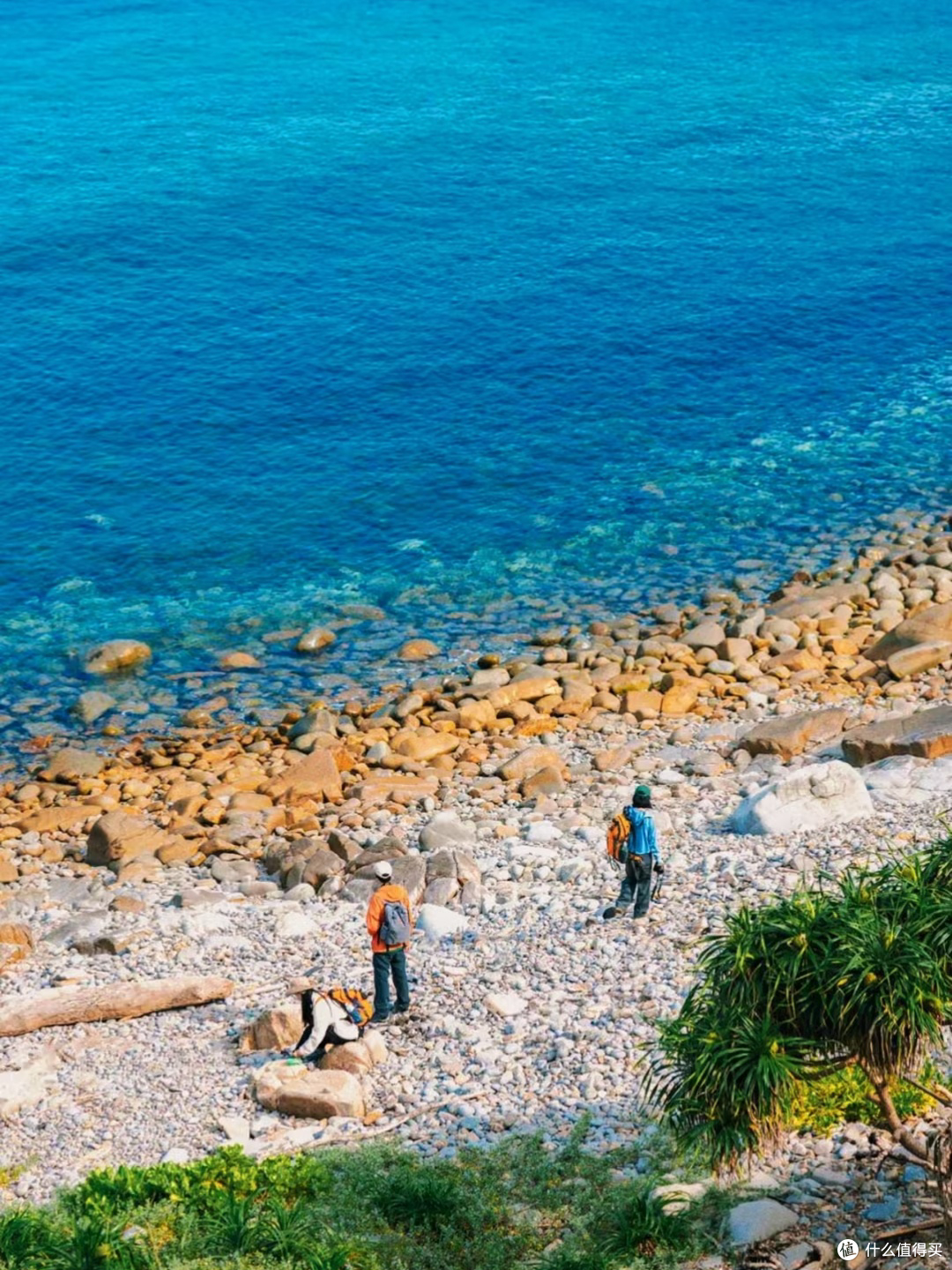 塔门岛徒步:海风草坡与黄牛相伴