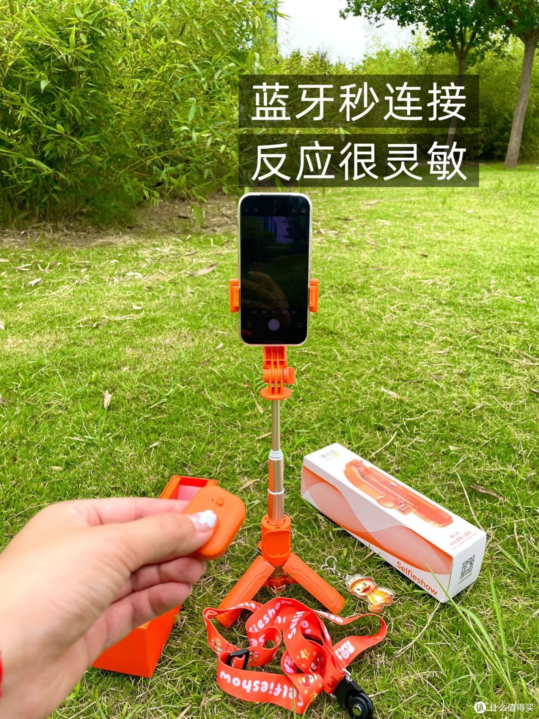 独自遛宠|一人一宠轻松拍出氛围感合照✨