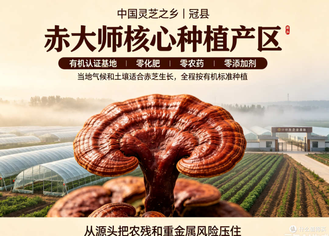 亚健康日常滋补:灵芝孢子粉深度选购攻略,避开营销陷阱