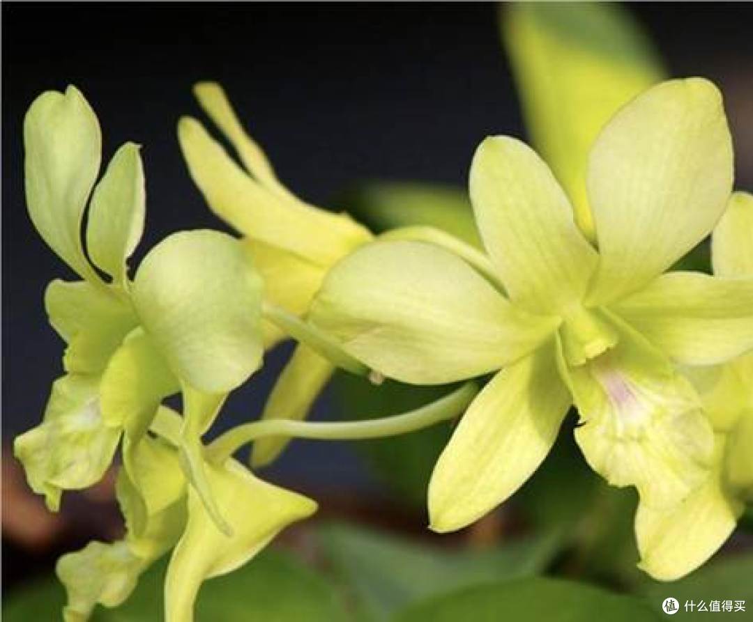 30岁用什么护肤品比较好?植物医生这份抗老推荐请收好