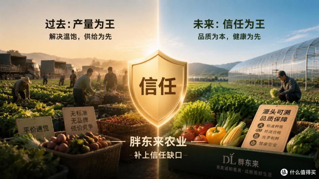 为什么胖东来的水果、蔬菜总有人排队买?农业品牌的答案藏在这里