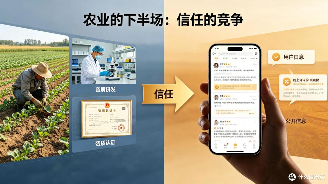 为什么胖东来的水果、蔬菜总有人排队买?农业品牌的答案藏在这里
