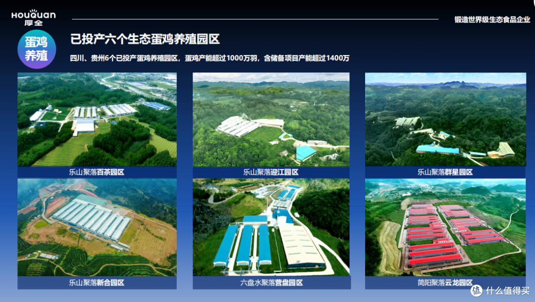 2026高品质品牌鸡蛋怎么选:热门品牌横向测评