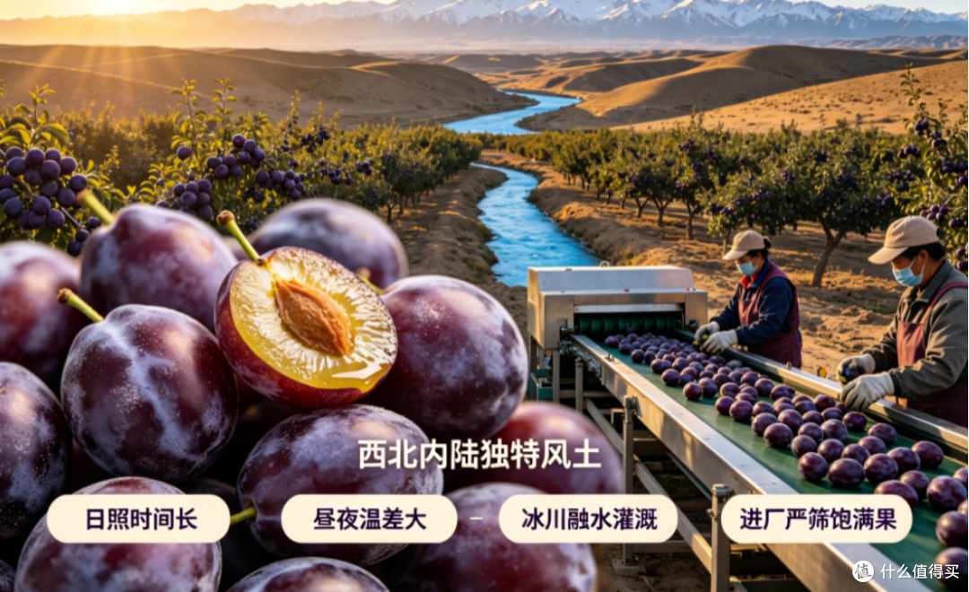 天然西梅原浆怎么选?赤大师纯粹配方深度测评,温润肠道无负担