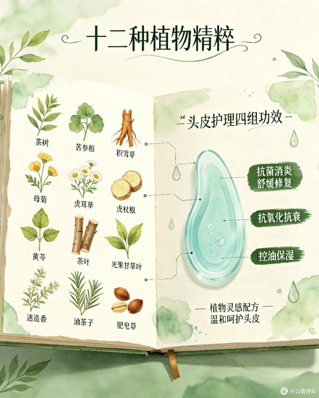 哪款去屑止痒洗发水好用?2026男士洗发水盘点,去屑止痒温和有效