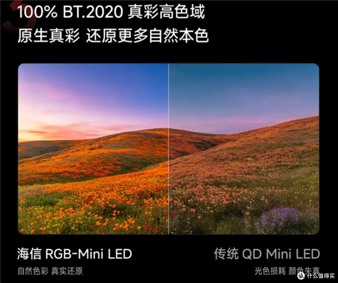 当世界杯全民化身“帧”球迷,才明白百吋电视为何是观赛首选