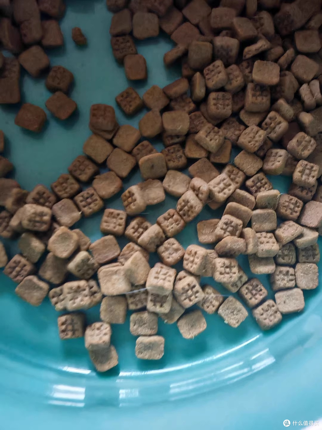 给主子换到领先烘焙鲜肉粮，终于不用再盯着剩饭叹气了