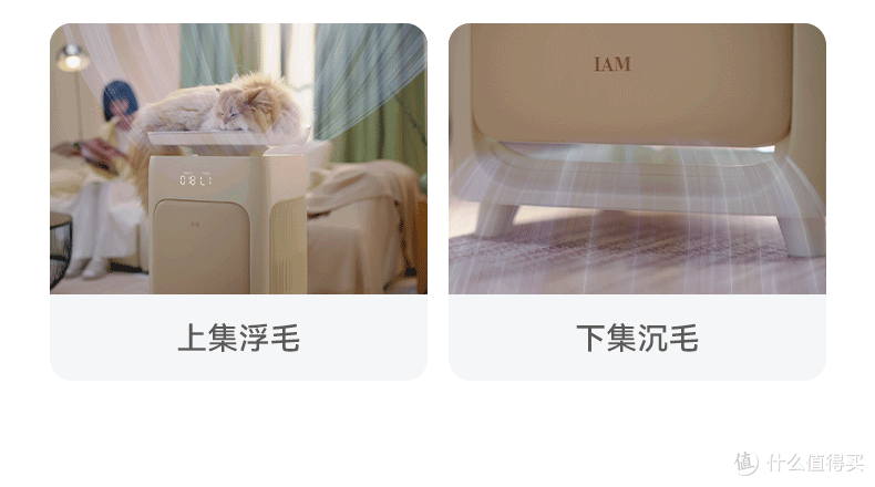 告别撸猫过敏！IAM宠物空气净化器，猫皮屑过敏原去除率超99.1%