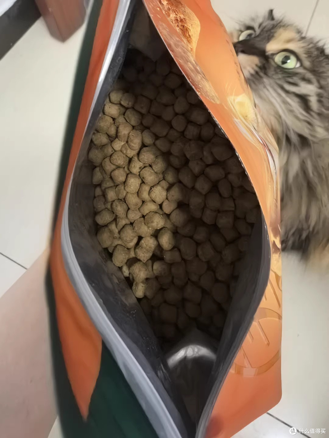 网易严选鲜蒸猫粮,我家挑嘴主子终于肯埋头干饭了