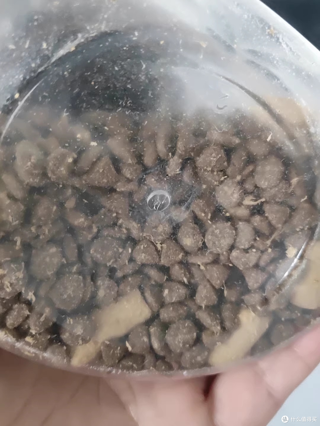 网易严选鲜蒸猫粮，我家挑嘴主子终于肯埋头干饭了
