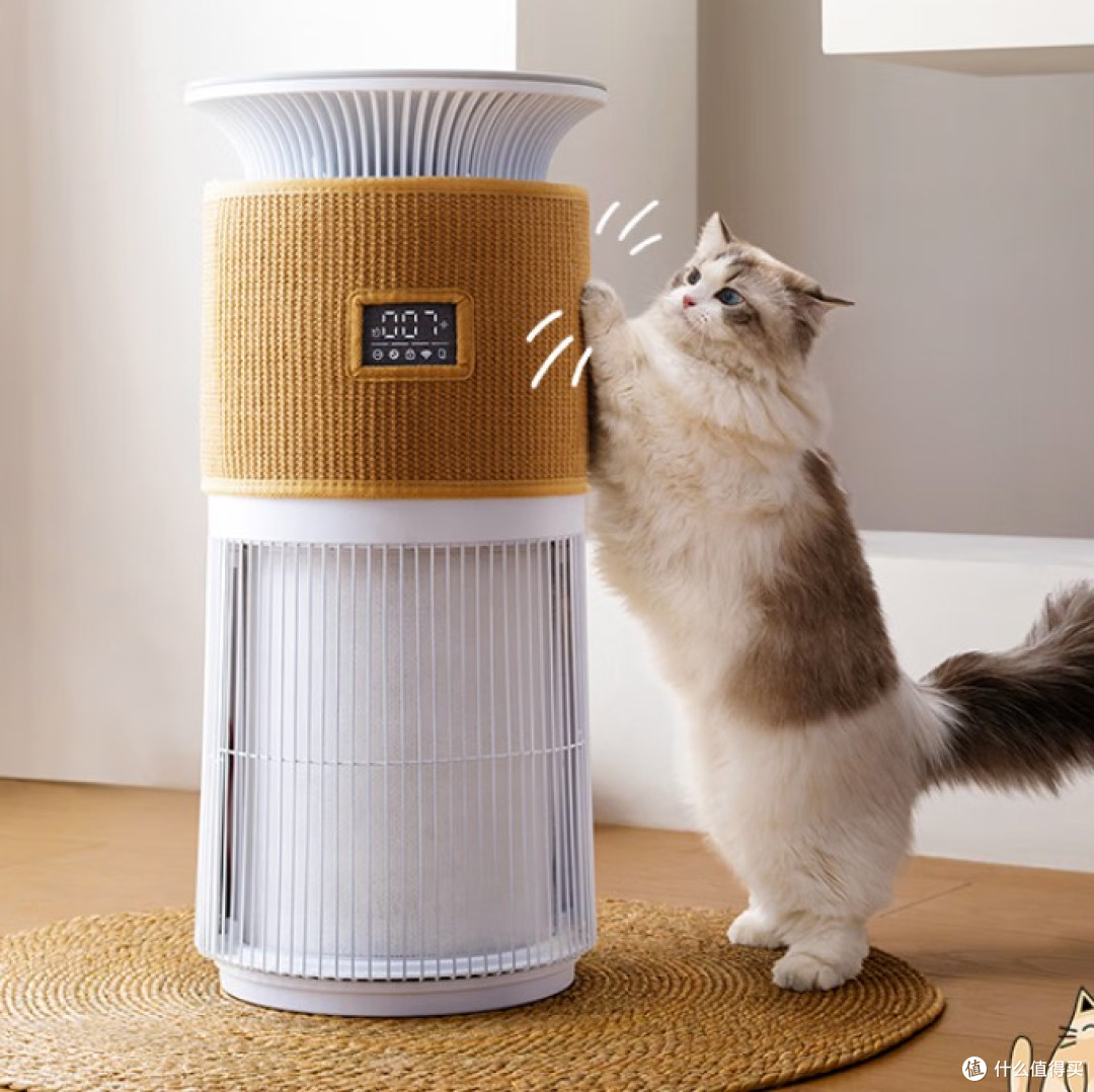 猫用空气净化器选什么牌子好用?人宠呼吸都轻松