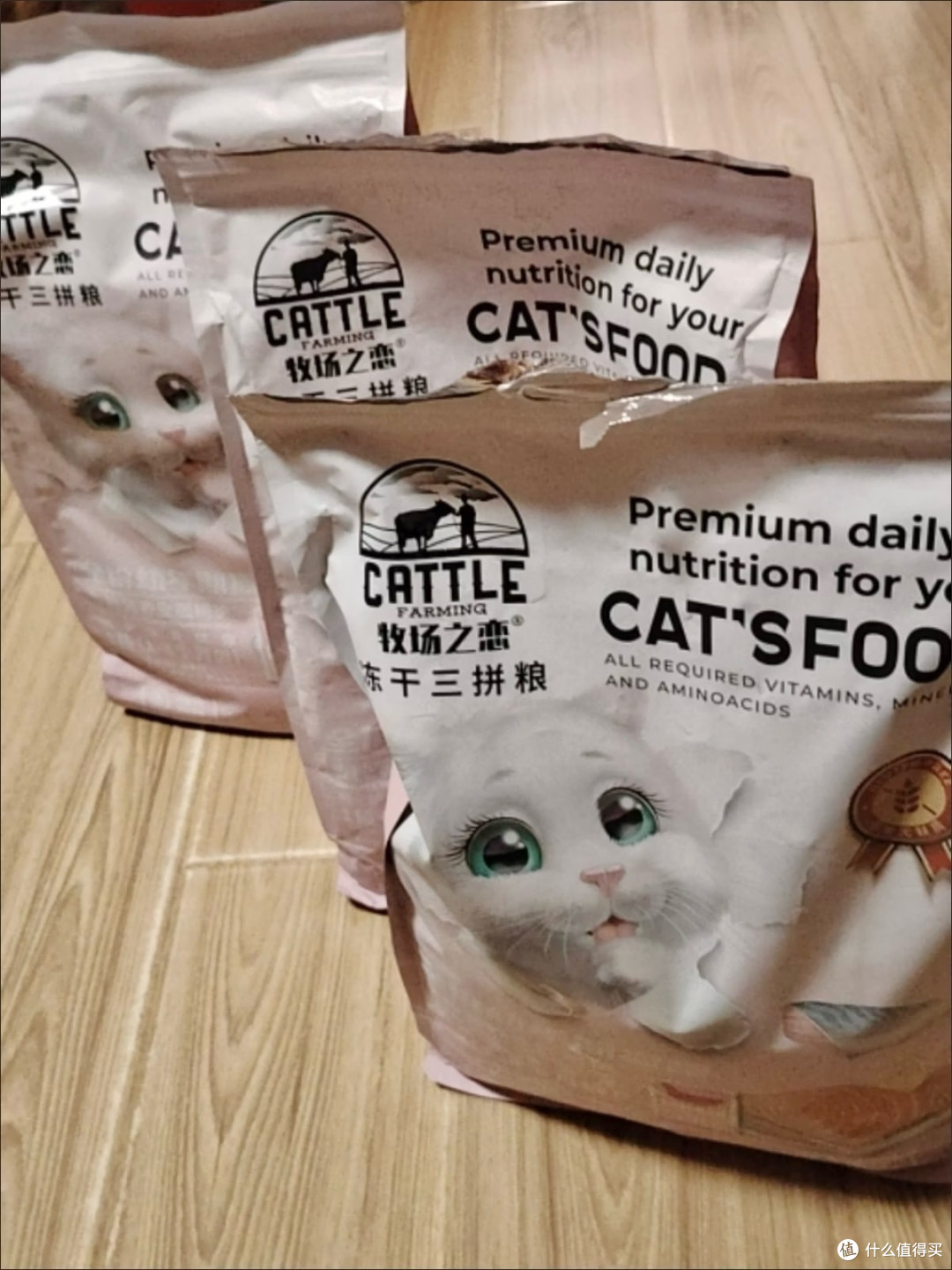 新手养猫避坑指南:从选粮到除毛,分享我踩过的5个大雷