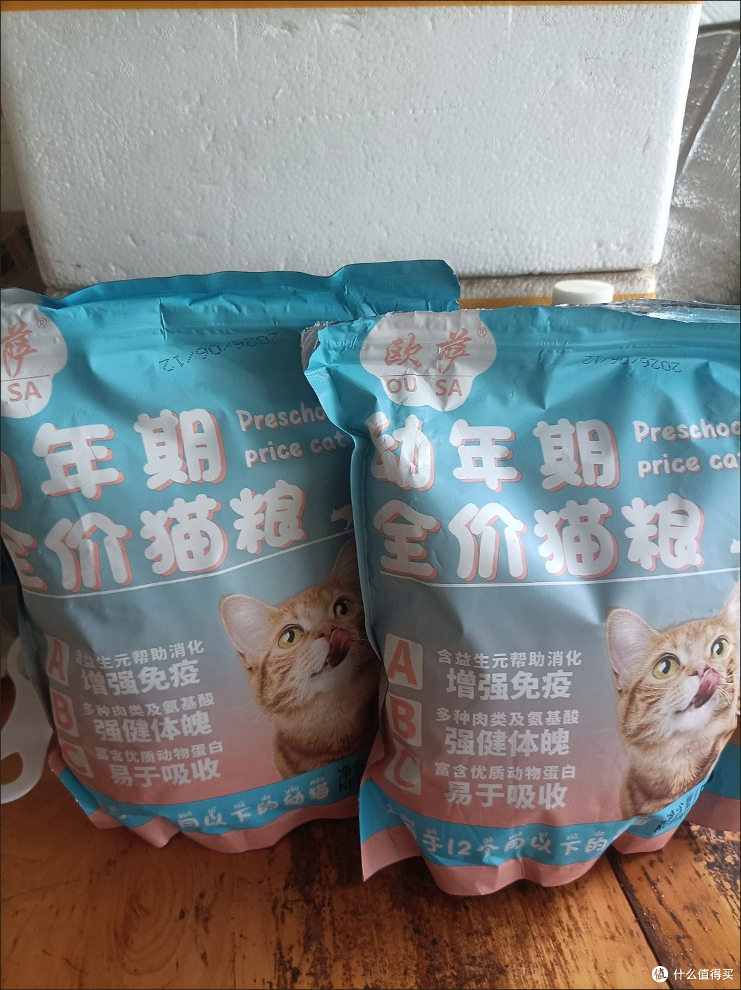 新手养猫避坑指南:从选粮到除毛,分享我踩过的5个大雷