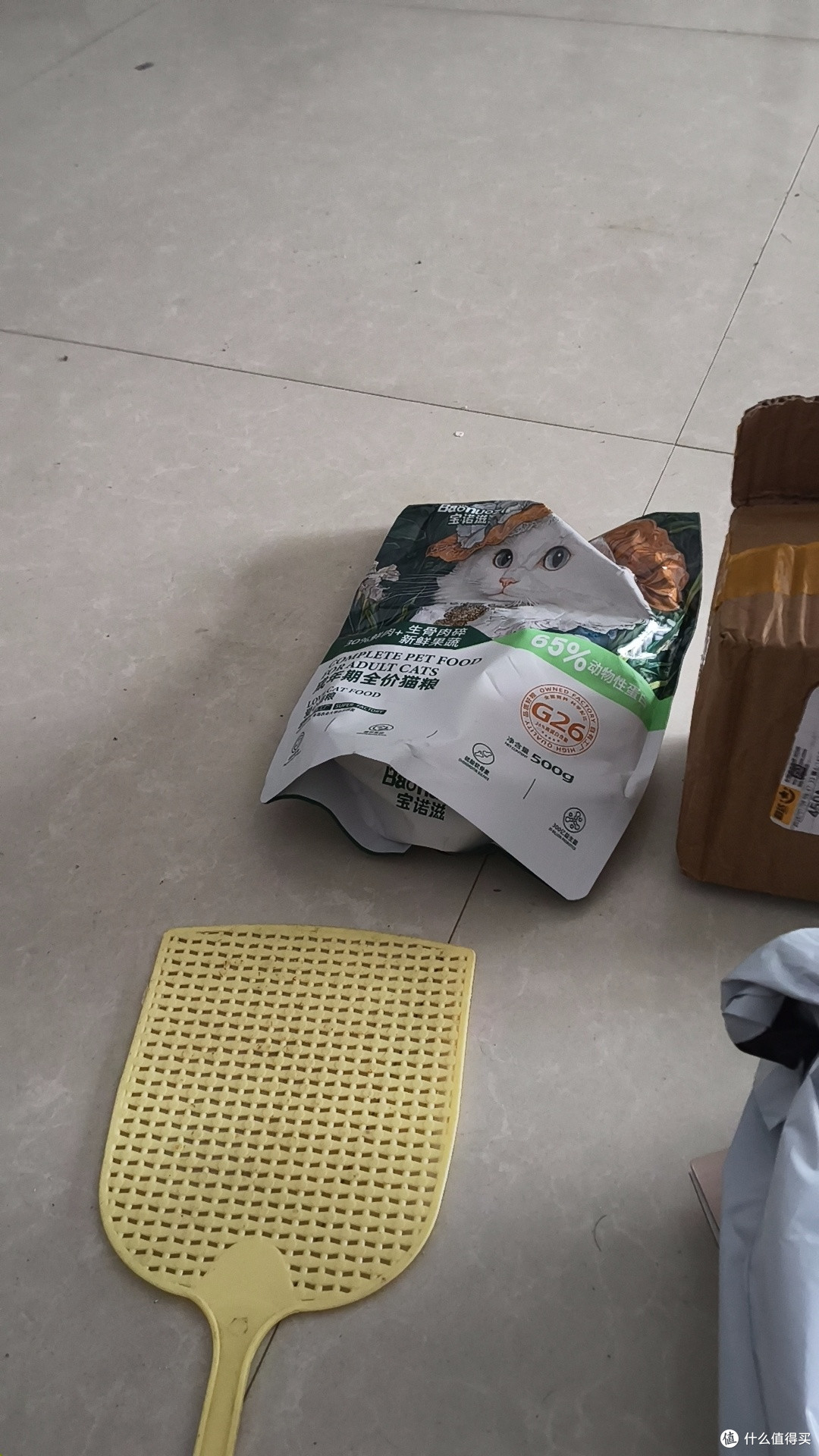 新手养猫避坑指南:从选粮到除毛,分享我踩过的5个大雷