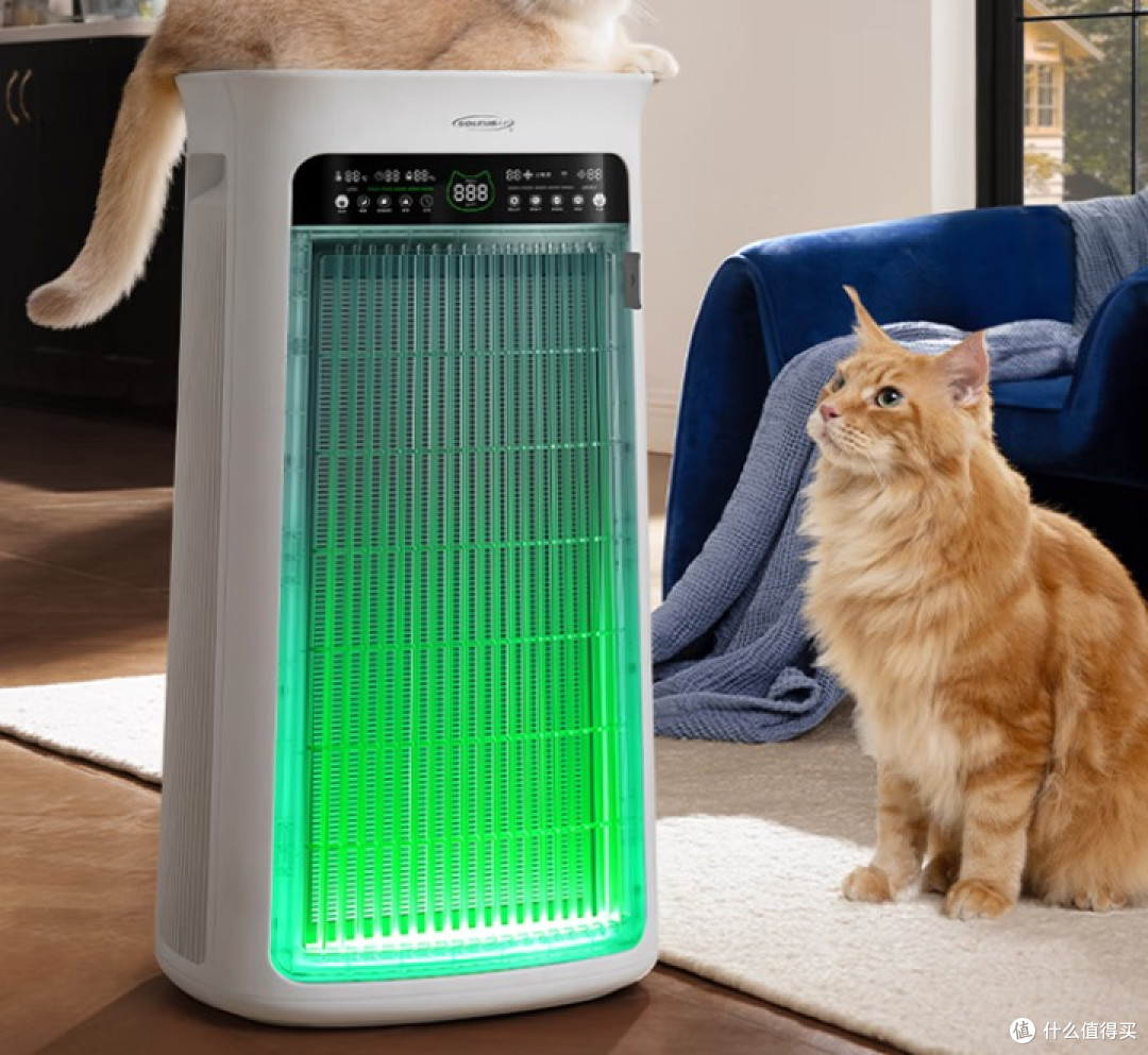 猫用空气净化器选什么牌子好用?人宠呼吸都轻松