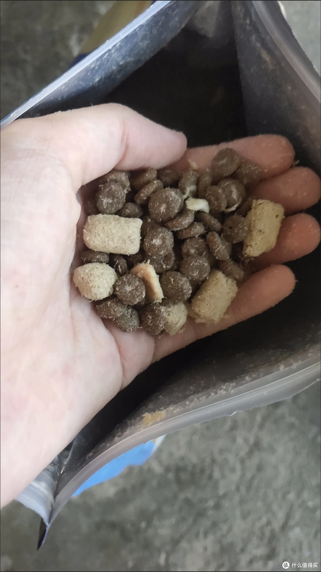 猫咪挑食怎么办?实测有效5种主粮+零食推荐