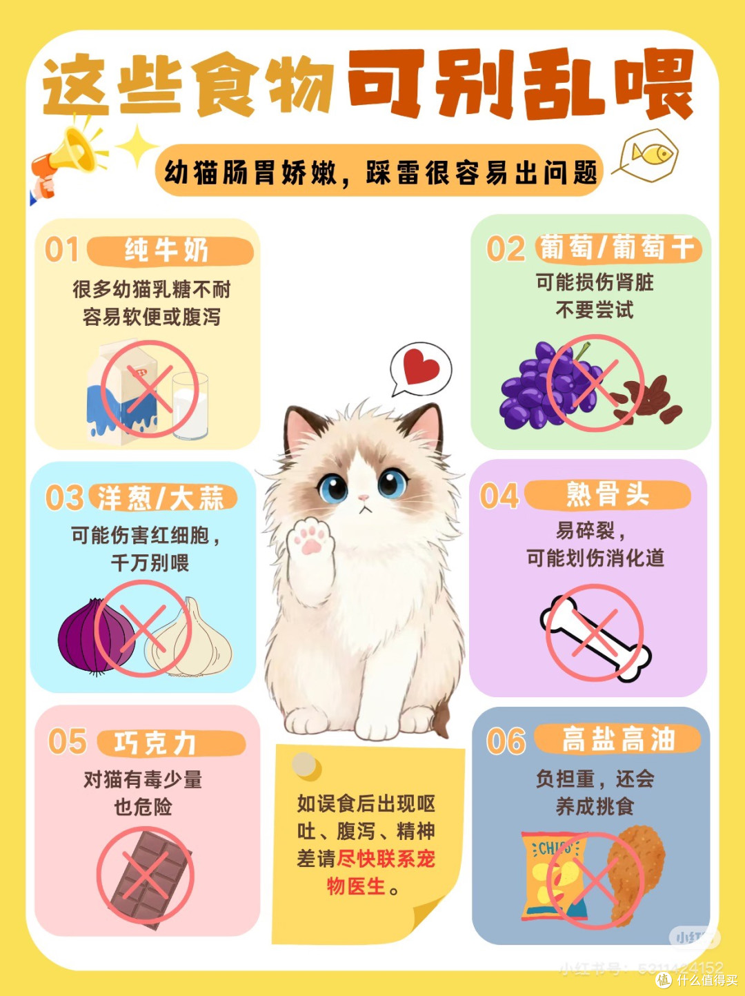 猫咪拆家行为艺术解析
