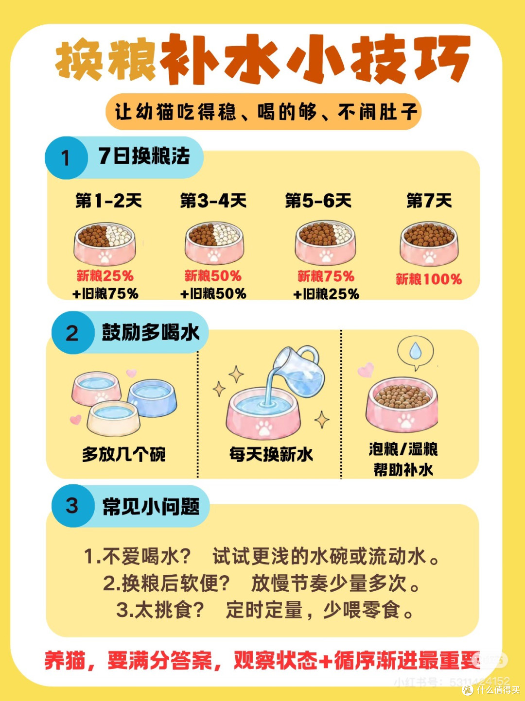 猫咪拆家行为艺术解析