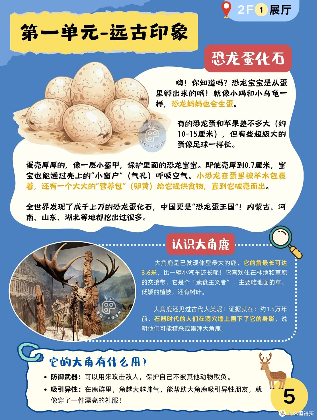 夏日室内遛娃宝藏地|江苏省博物院亲子完整攻略收好