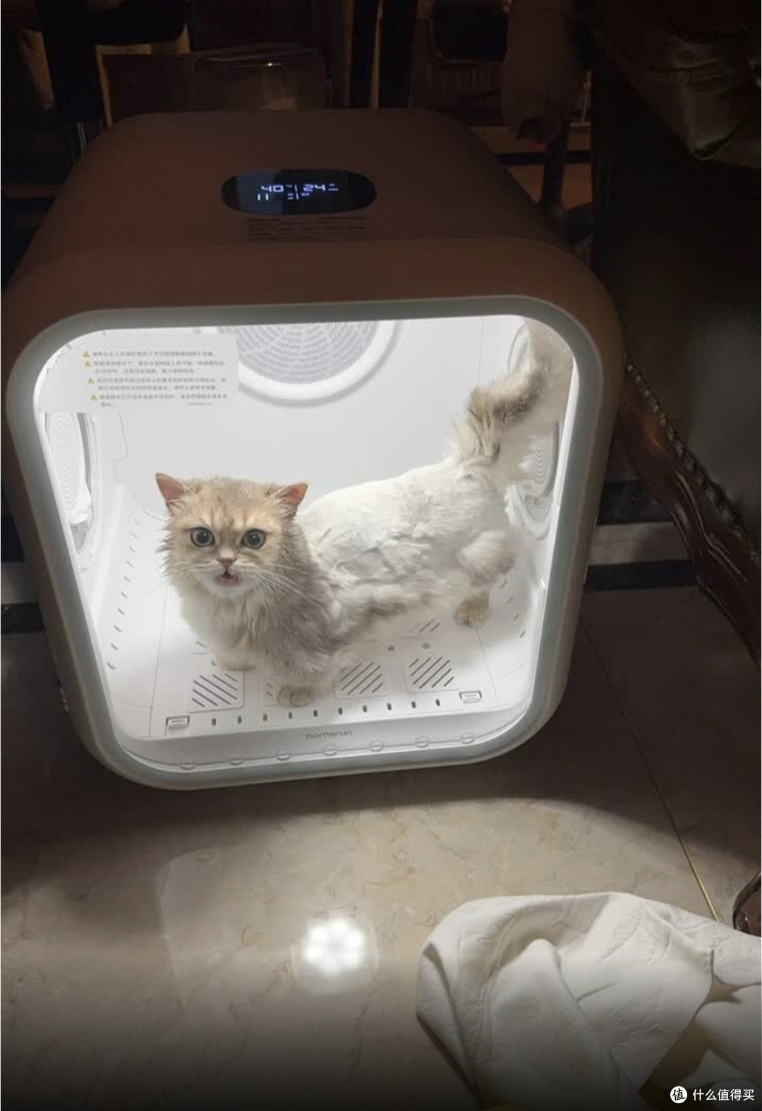 养猫刚需|霍曼宠物烘干箱真实使用感受