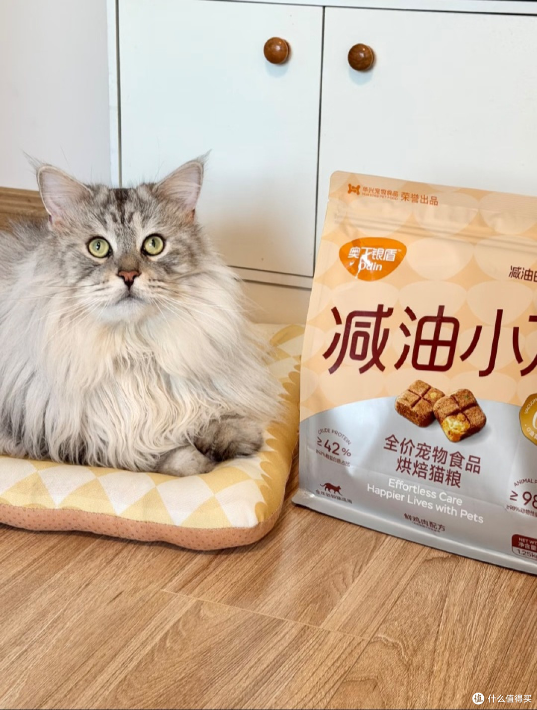 奥丁减油猫粮解决挑食问题