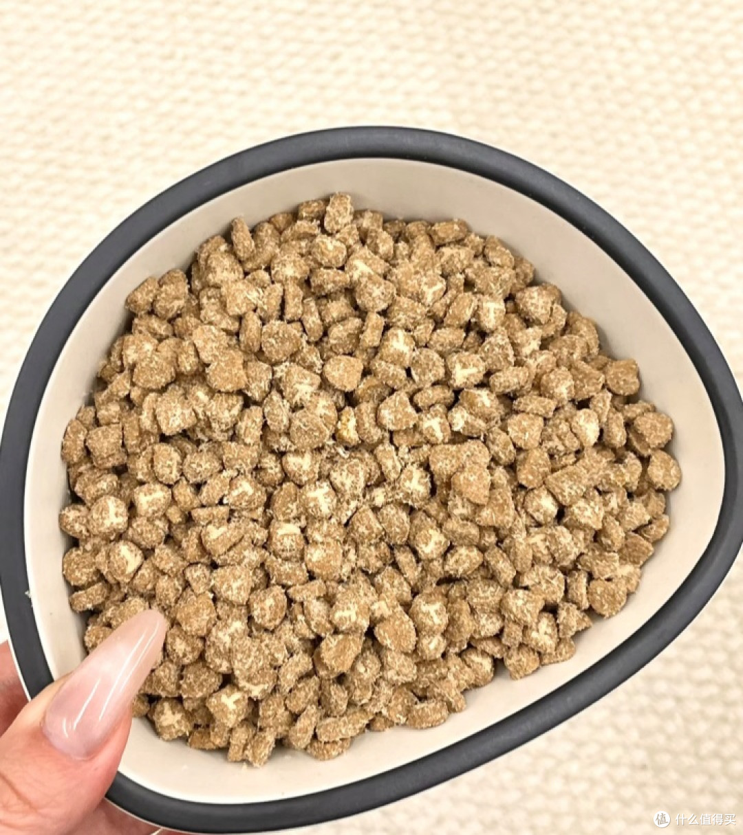 猫咪增重好帮手：领先壮壮袋测评