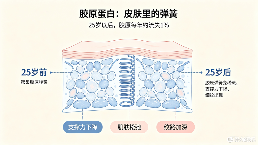 预算有限又想抗老?这3个认知误区,可能让你多花了不少冤枉钱
